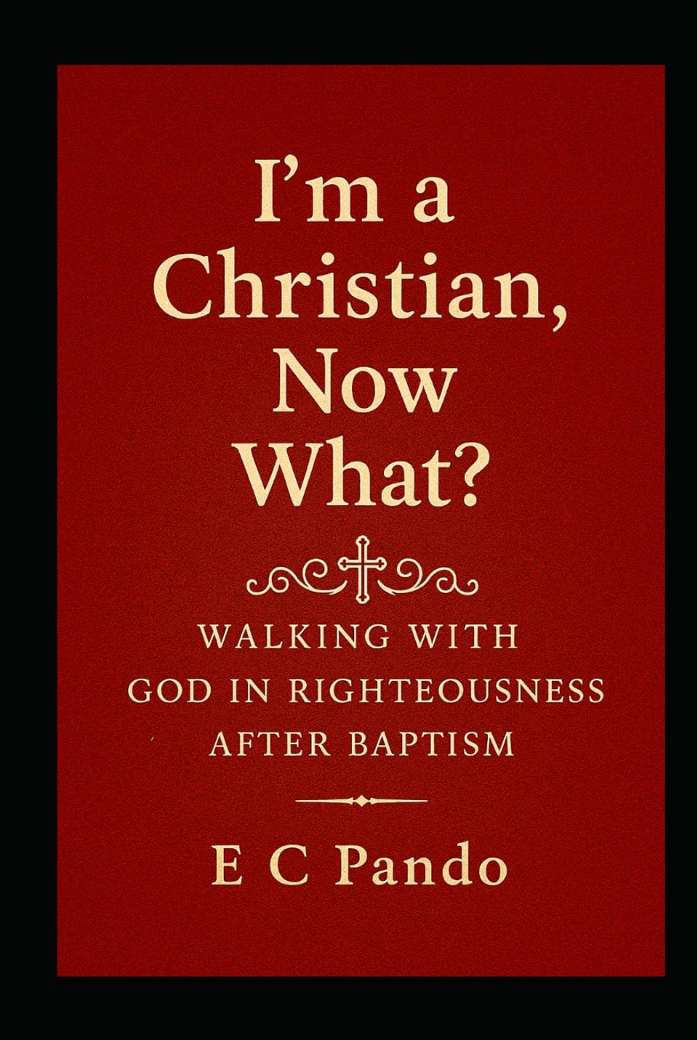 I'm A Christian, Now What?: Walking With God In Righteousness After Baptism (My Christain Values)