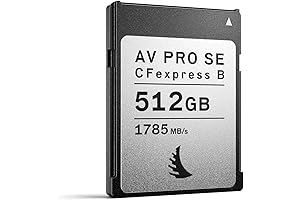 SanDisk 256GB Extreme PRO CFexpress Card Type B