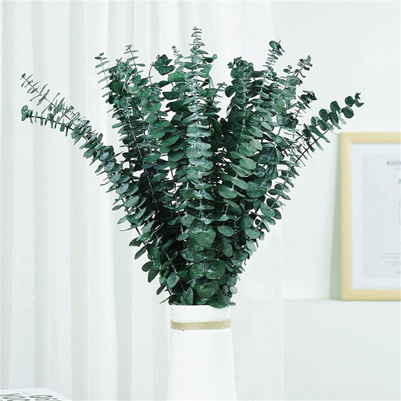 Plantes d'eucalyptus séchées pour douche et vase | 20 branches 43cm