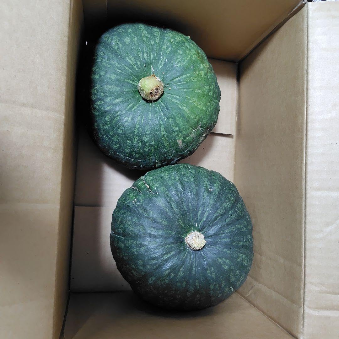 美品 SHARP 冷蔵庫 2018年製造 167L SJ-DA17D-W SHARP SJ-D17D-S 冷蔵庫 167L 美品 SHARP 冷蔵庫 2018年製造 167L SJ