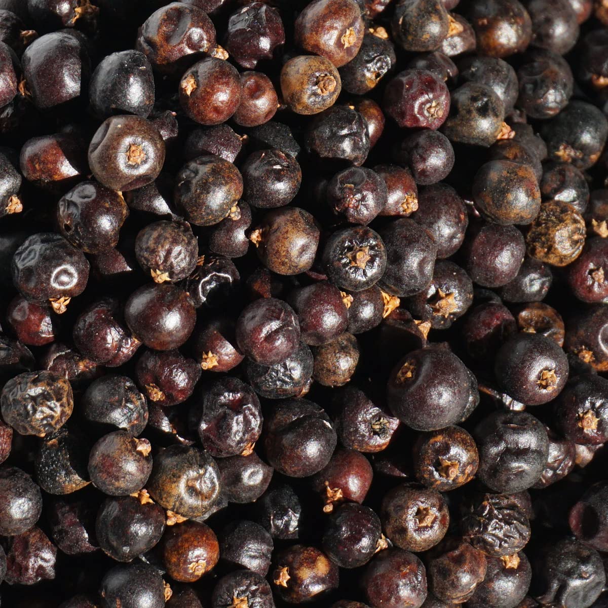 Amazon | アメ横 大津屋 ジュニパーベリー スパイス ハーブ ジュニパー