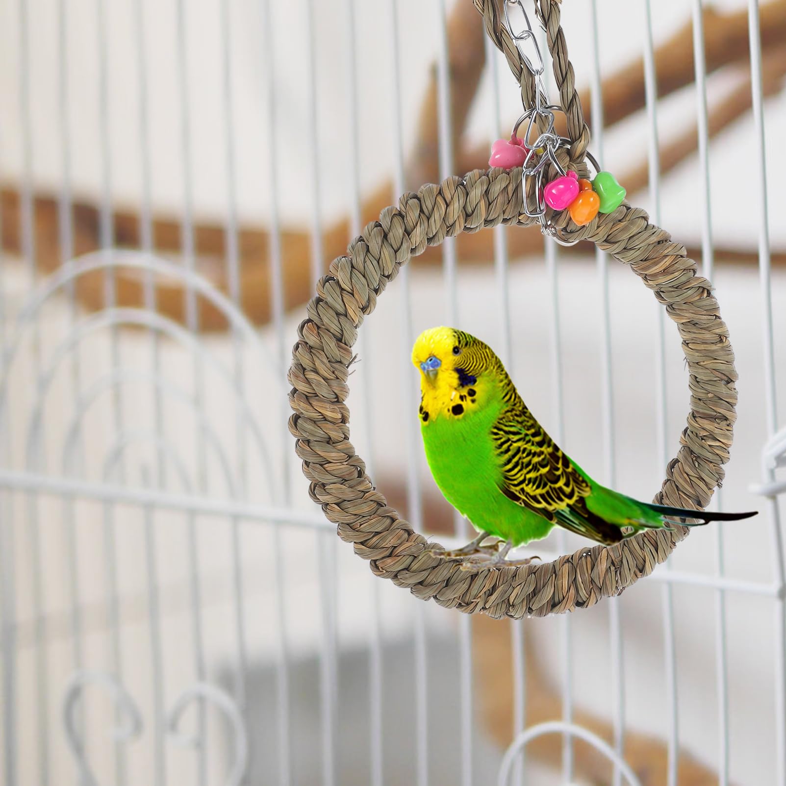 BESPORTBLE 5pezzi Altalena Decorativa Per Pappagalli Trespolo Da Appendere Per Uccelli Gioco Divertente e Resistente Per Parrocchetti e Cockatiel Accessorio Per Benessere Degli Uccelli