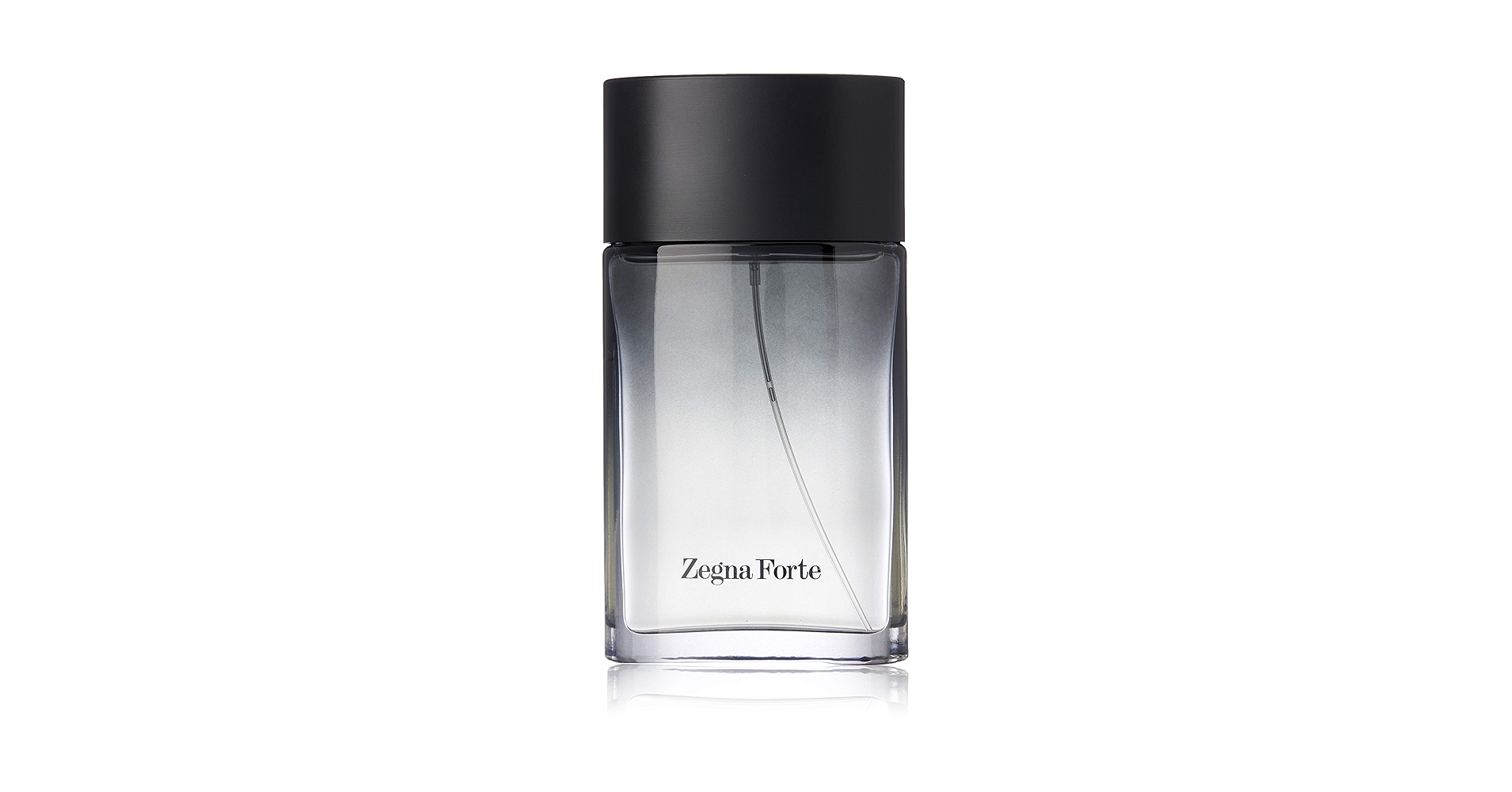 Amazon.com: Ermenegildo Zegna Forte Eau De toilette Spray 男
