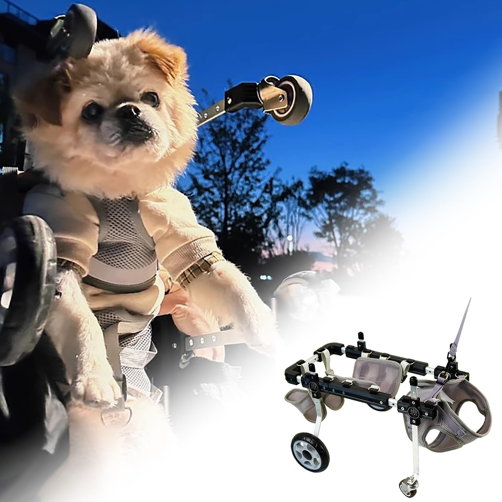 Silla de ruedas para perros todo terreno: carrito ajustable de 4 ruedas para paseos