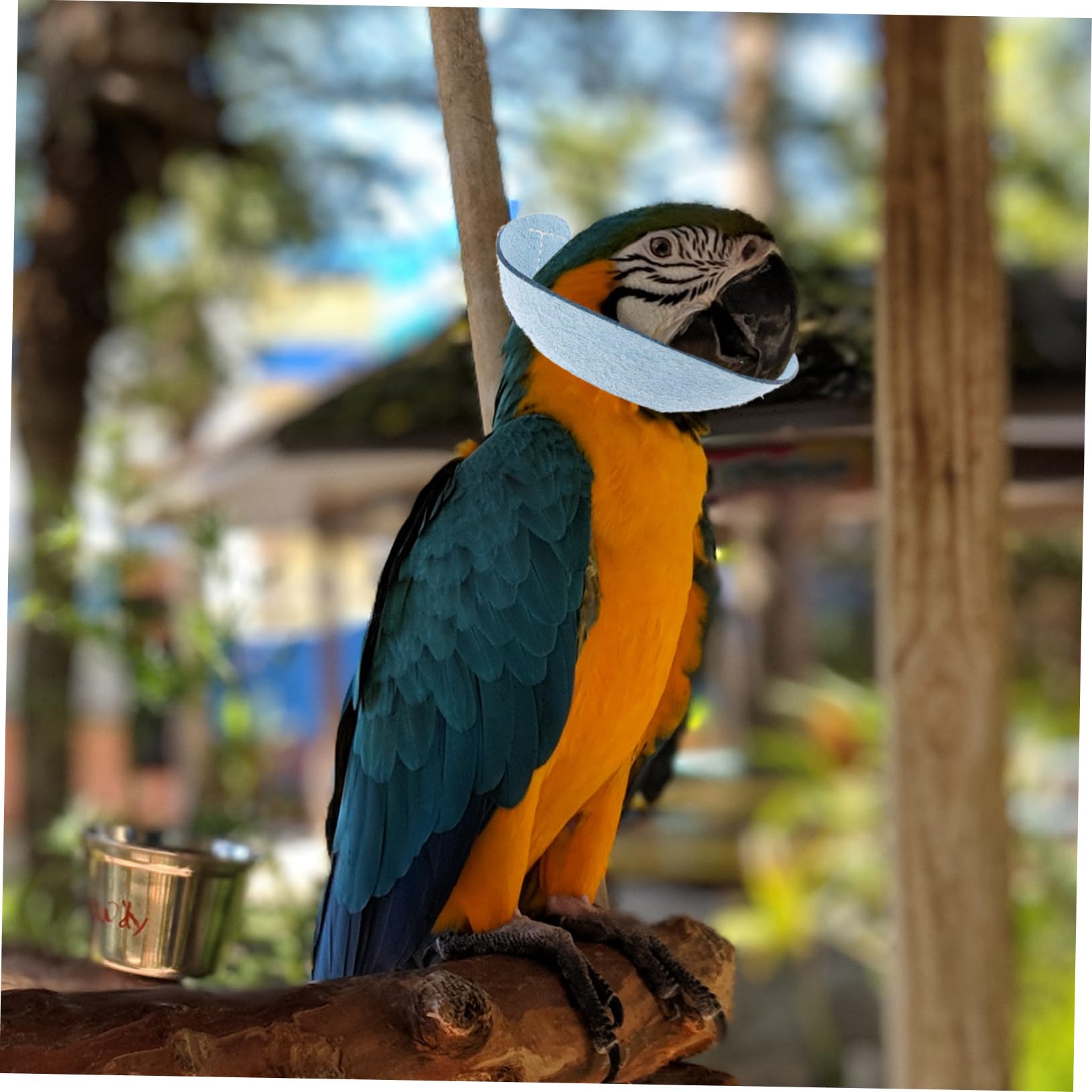 Yardwe Parrot Collar Bird Neck Protector Soft Breathable Washable Dog Cone Bird Recovery Collar Size s for Parrots
