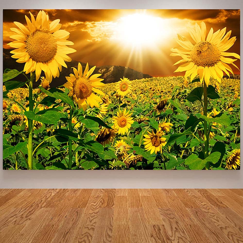 Affiche art-3 tournesol vintage gravure murale de haute qualité 40x60