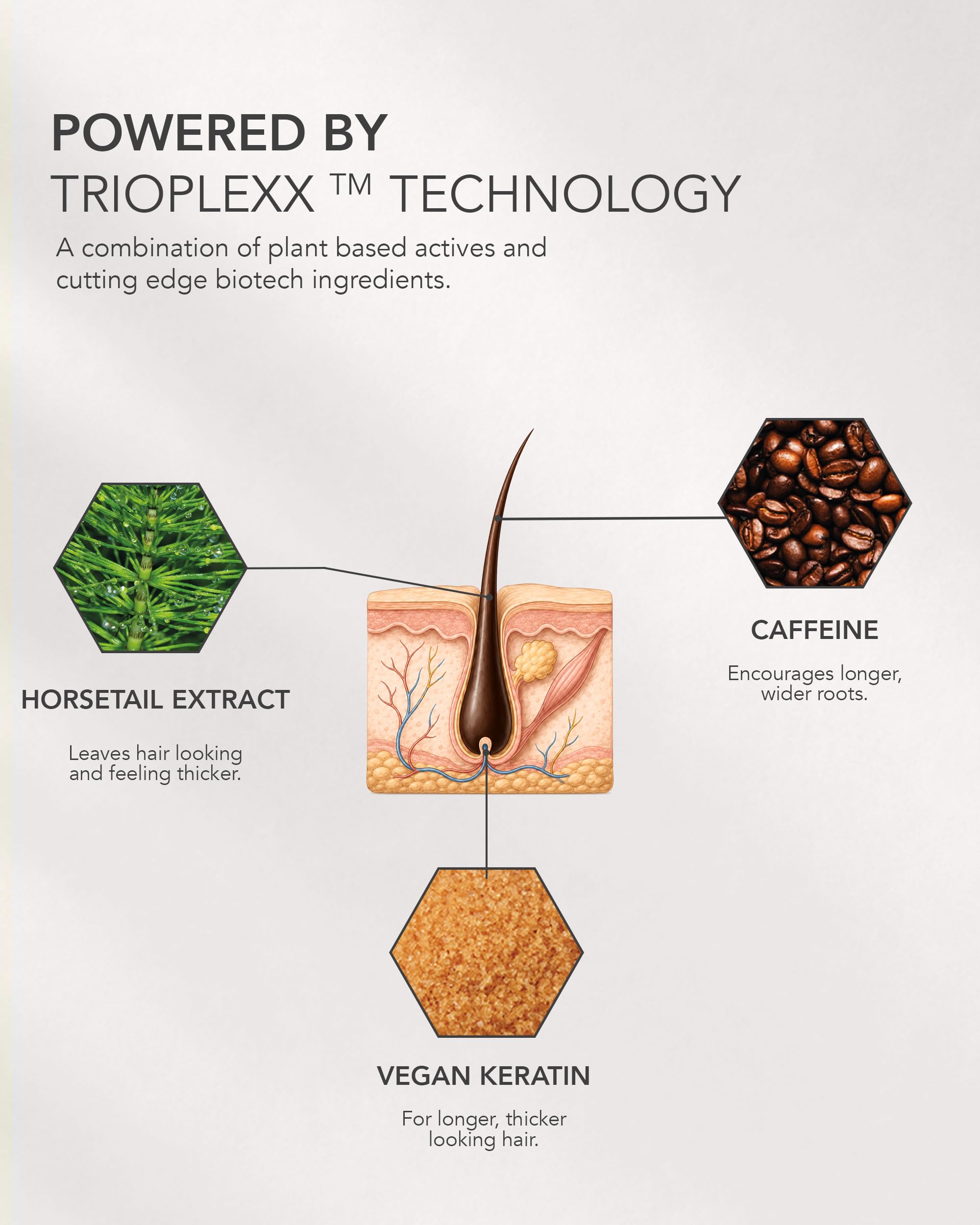 WE ARE PARADOXX Siero per cuoio capelluto da 50 ml, capelli più spessi e sani, tecnologia Trioplexx per la stimolazione del cuoio capelluto e dei follicoli piliferi, crescita avanzata, regalo di