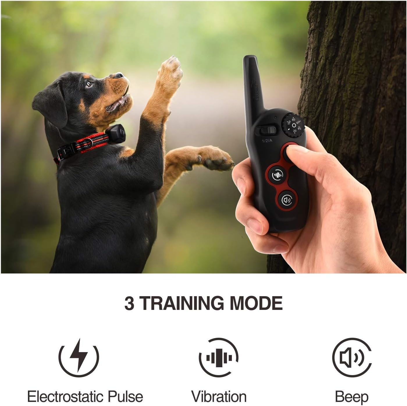 bark collar automatic and remote