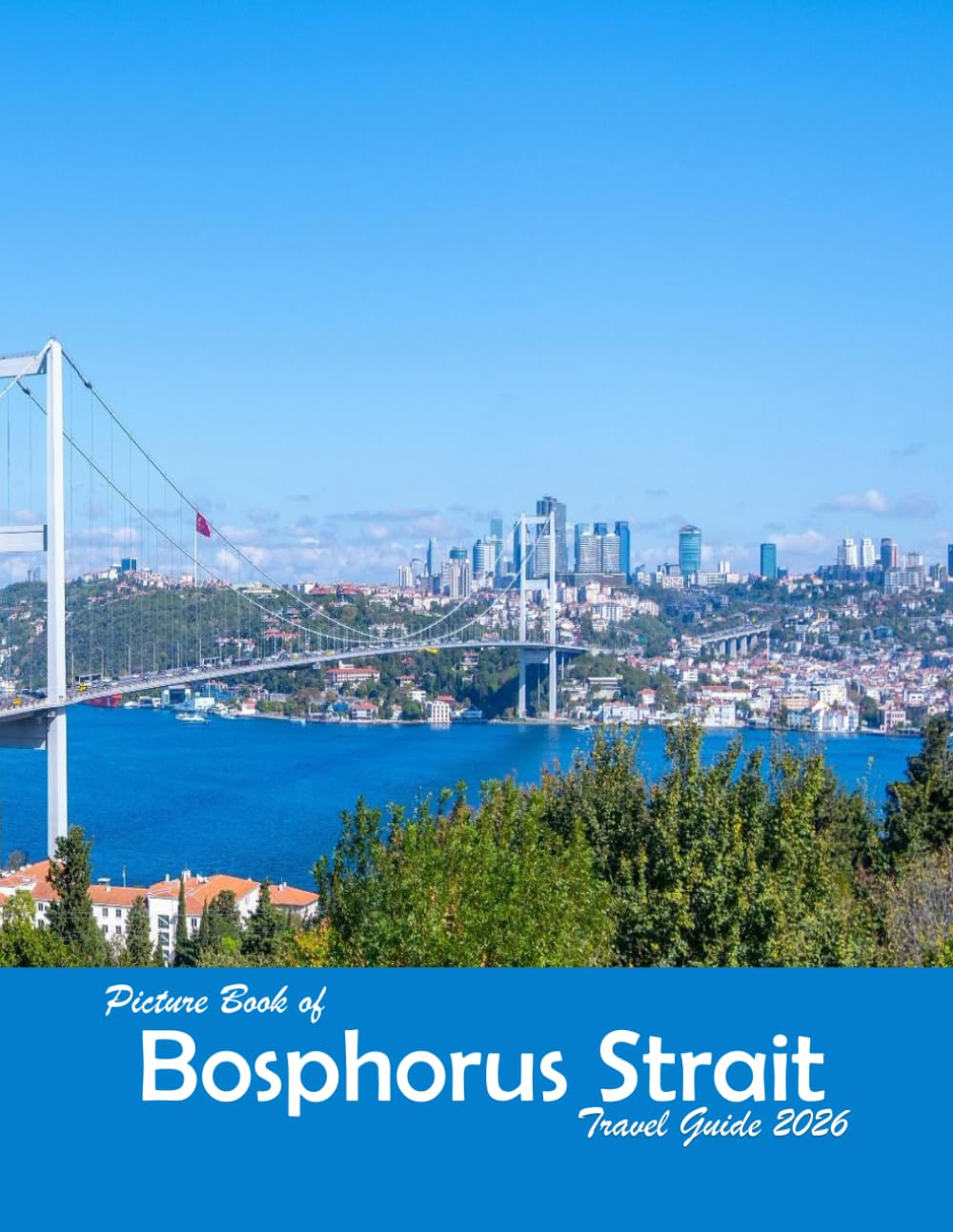 The Bosphorus Strait, Istanbul, Turkey: A Visual Journey Through Stunning Landmarks, Travel and Nature lovers.