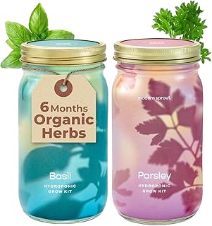 Modern Sprout Mason Garden Jar - Self-Watering Hydroponics Growing Syste...