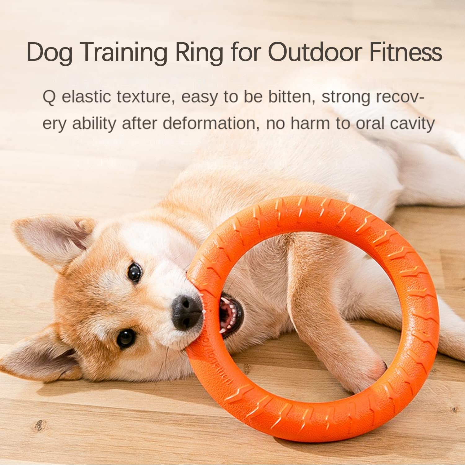 Dog Toy Ring Pet Toys Flying Disk Training Ring Puller Large Dogs