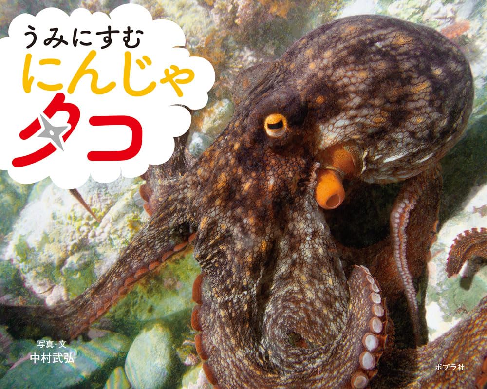 ※木村タコ屋ページ※ うみにすむ にんじゃ タコ (ふしぎいっぱい写真絵本 41) | 中村 武弘