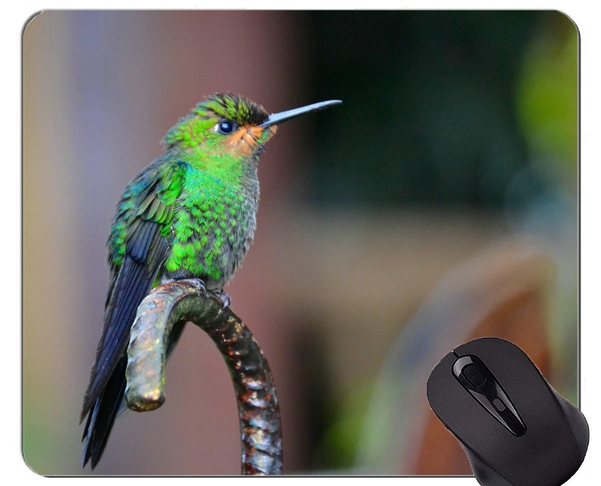 Customized Rectangle Non Slip Rubber Mousepad,Costa Rica Hummingbird Gaming Mouse Pads