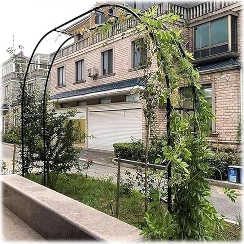 Scifimp �K�[�f���A�[�` 19mm�p�C�v �y�ʐ݌v �ϋv�t���[�� �u���b�N �g�ݗ��ĊȒP �o���E��A���p ���|����