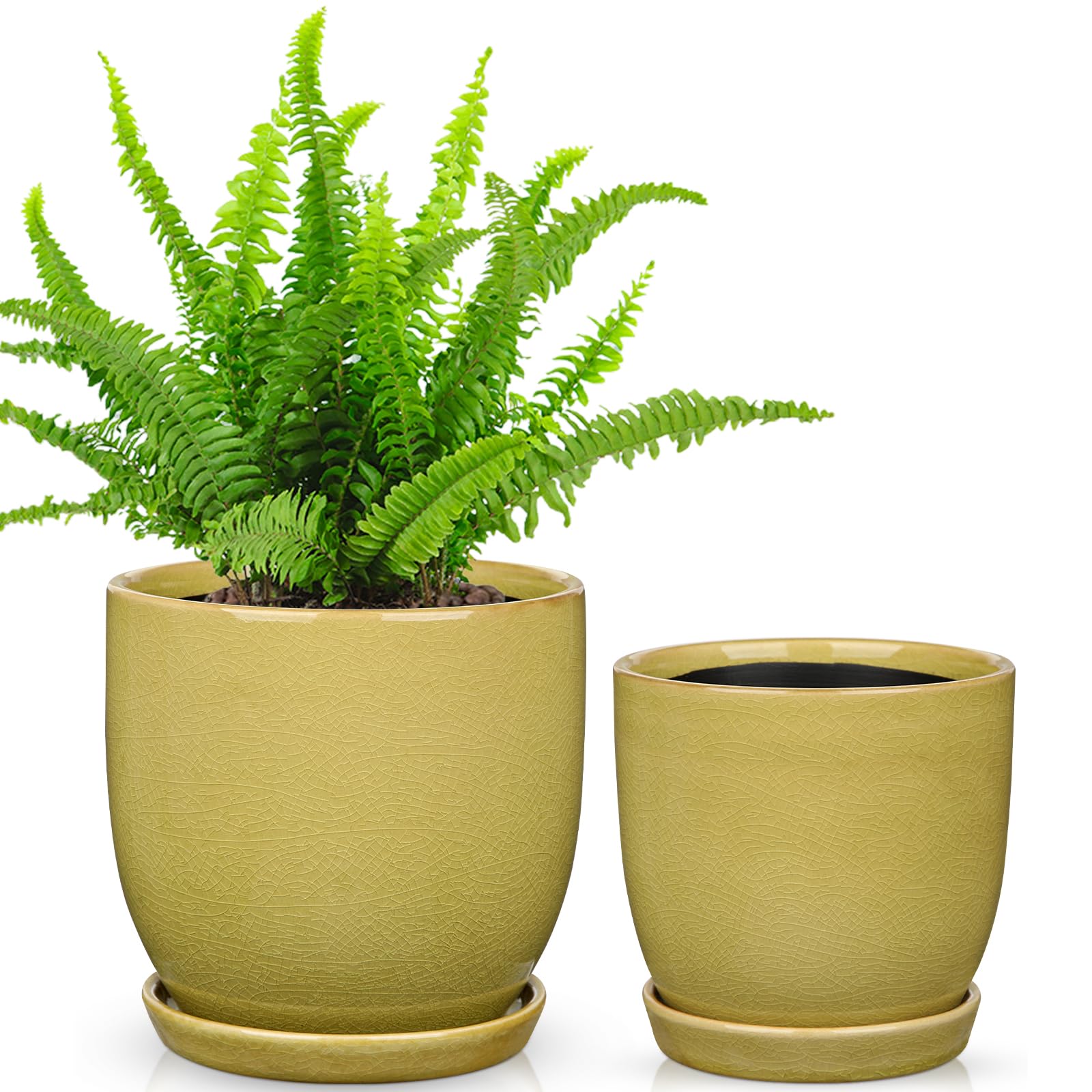 Oairse Set of 2 Ceramic Plant Pots 12CM 15CM Yellow Indoor Ceramic Planter with Drainage Holes and Saucers Tray Decorative Flower Pots Garden Pot for Succulent Cactus House Plants