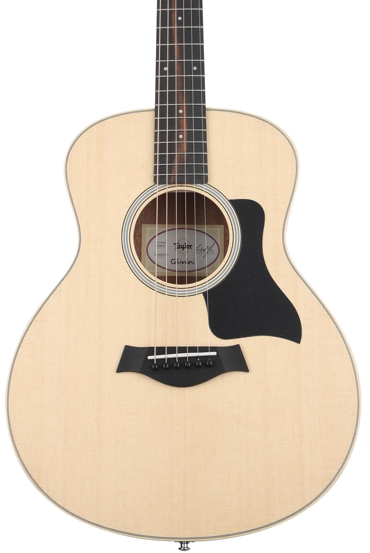 Taylor 限定 GS ミニ サペル ナチュラル音色