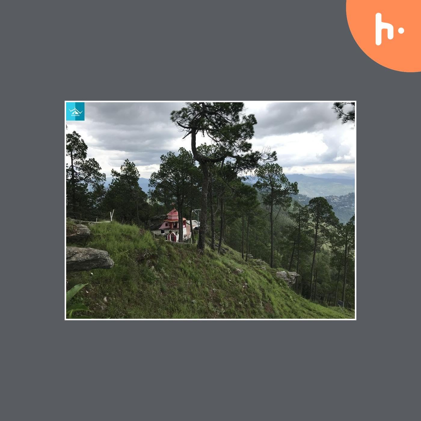 Adventure Activities in Kasar Devi: A Thrilling Escape into Nature