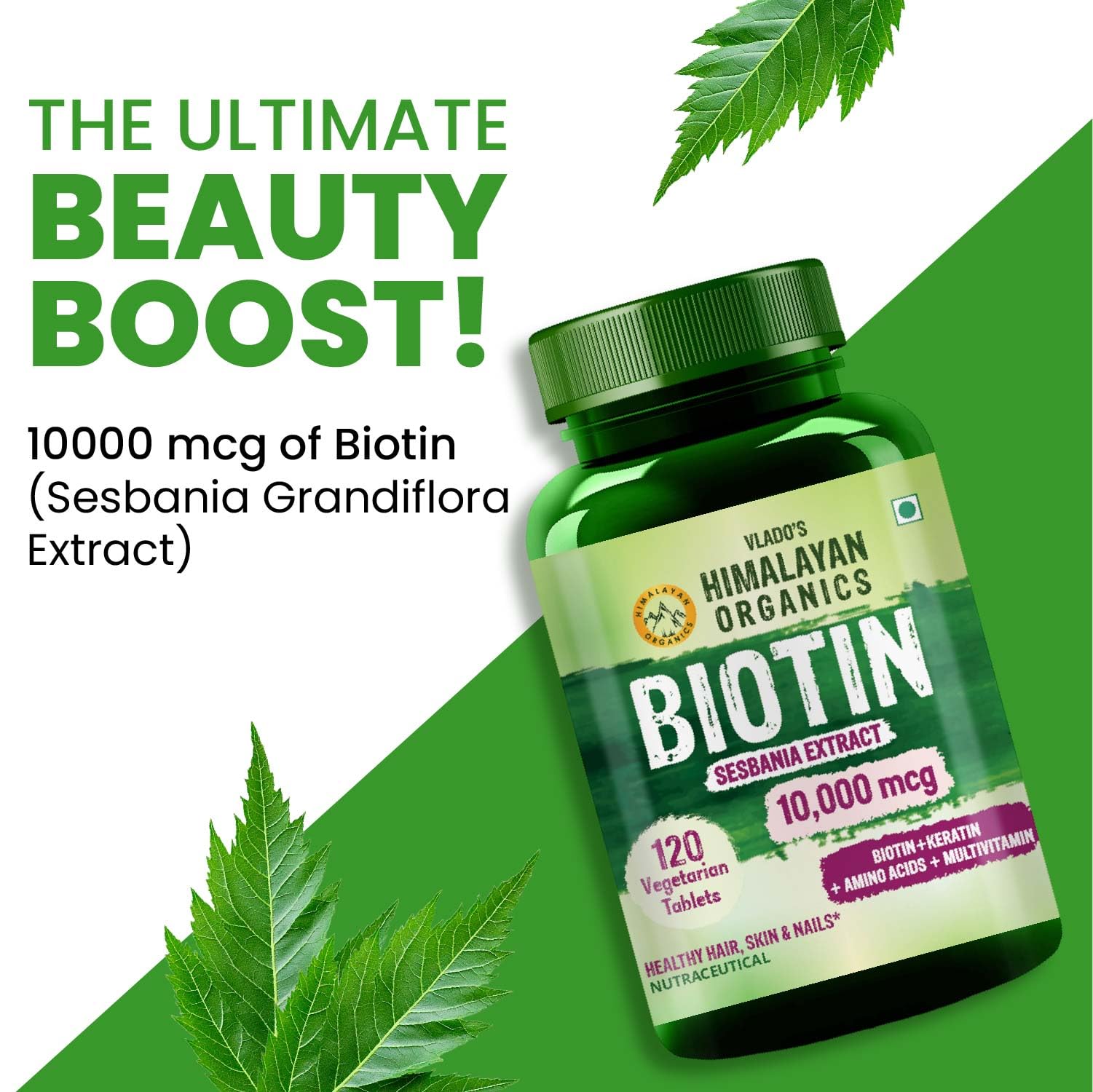 Vlado’s Himalayan Organic Biotin 10000 MCG Supplement For Men And Women With Keratin+Amino Acids+Multivitamin For Healthy Hair, Skin & Nails -120 Vegetarian Tablets - Image 5 thumbnail
