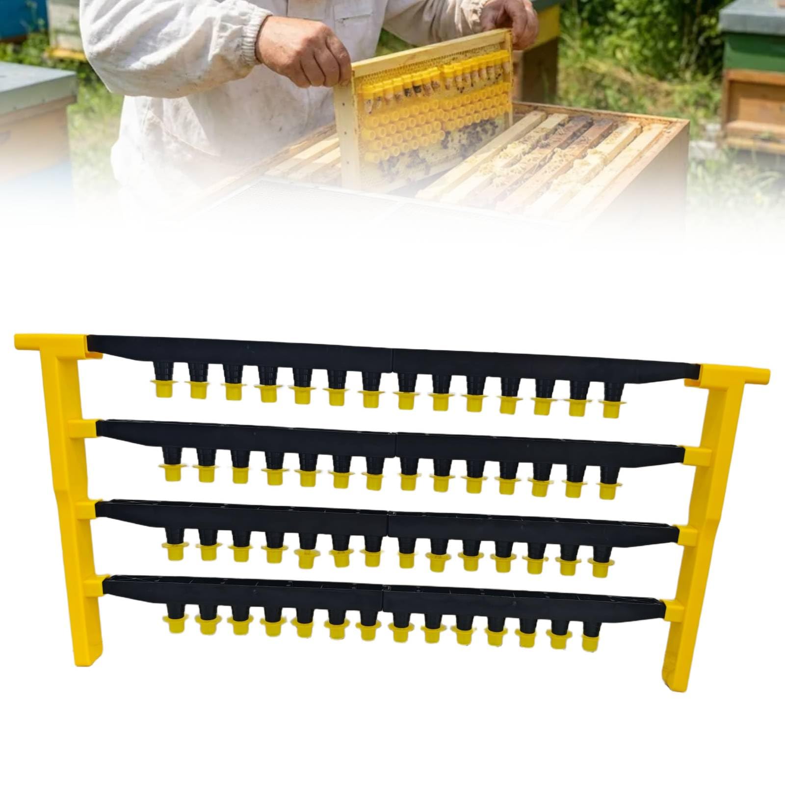 Amazon.com : JZBZ Queen Bee Rearing System Queen Bee Rearing Kit