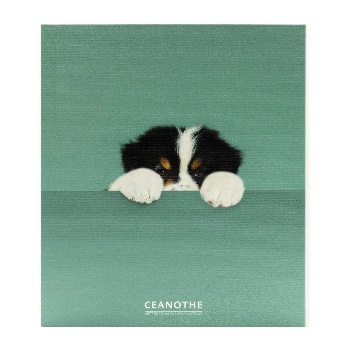Ceanothe Album Photo Pochette cache-cache chien 200 Photos 10x15 cm Animaux - Mini Format - 100 Pages Ivoire- 2 Photos par Page - Taille de l'album Photo : 25x25 cm - Marque Française