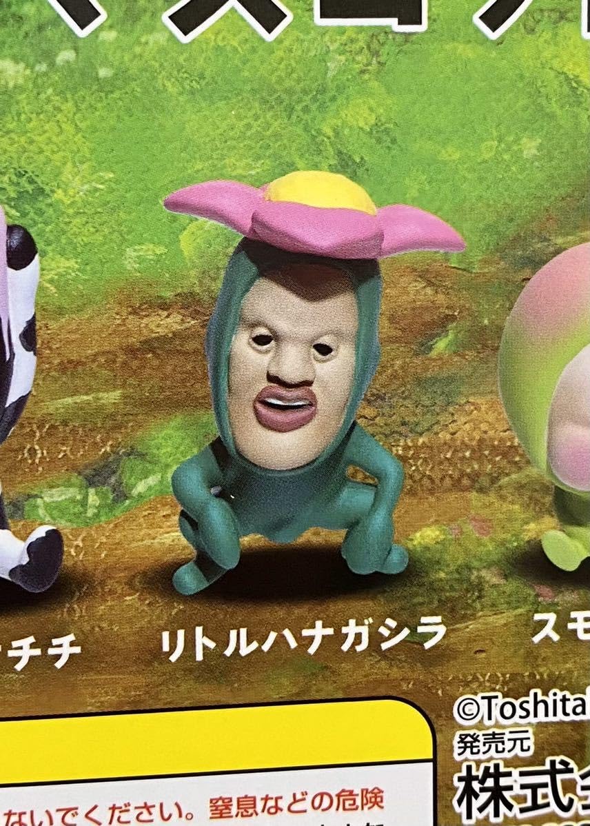 活動歴および当時の関連ビジュアル記録