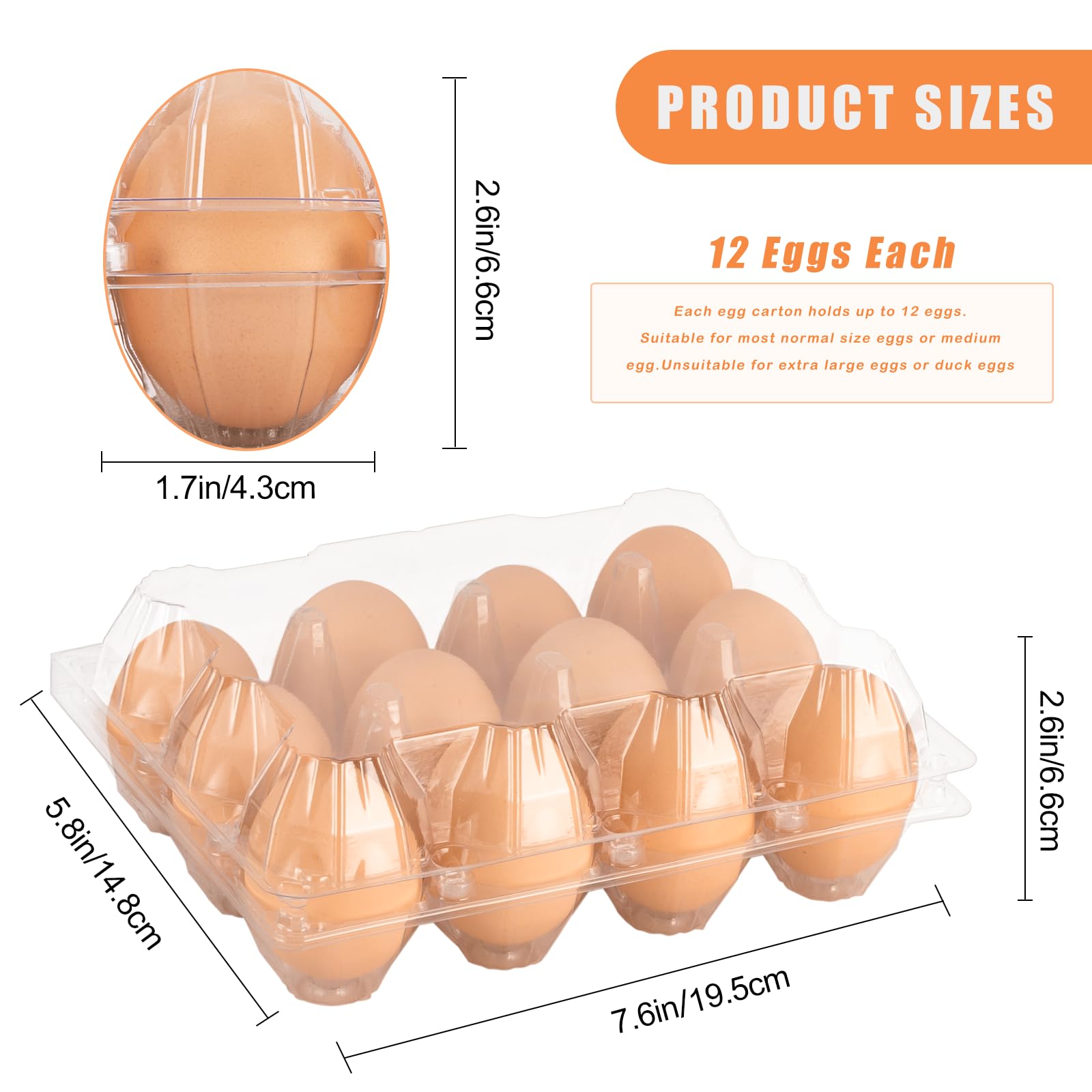 Confezione da 60 cartoni per uova, in plastica, 3 x 4, economici sfusi per 12 uova, ideali per frigorifero, allevamento di polli, mercati degli agricoltori e esposizione commerciale