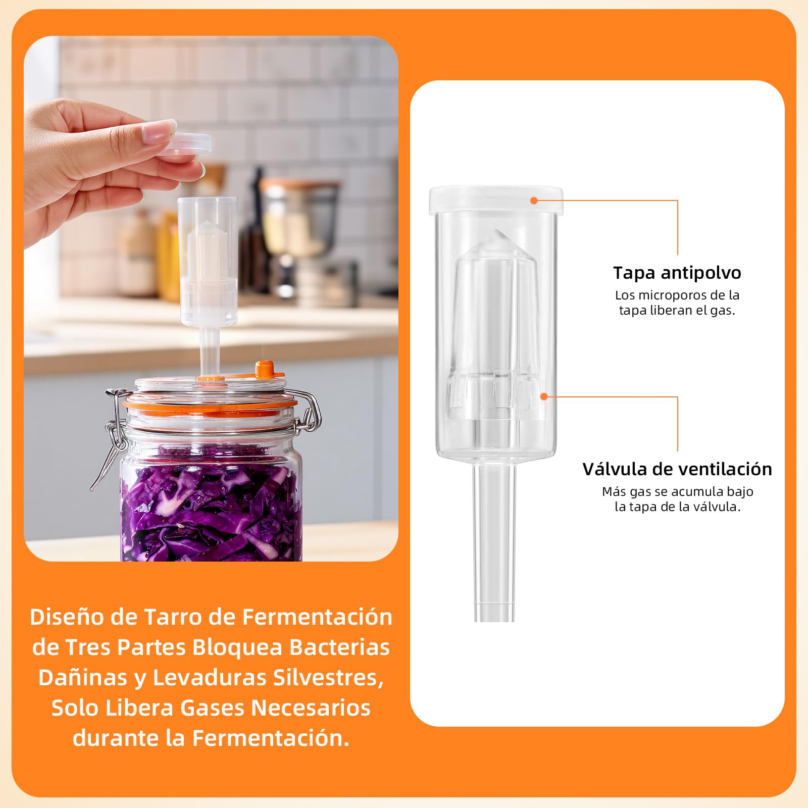 Kit de 2 Tarros de Fermentación de 1,5L con Pesas de Vidrio - Recipiente para Kimchi, Chucrut, Kombucha y Verduras Encurtidas - Incluye 2 Tarros y 2 Pesas