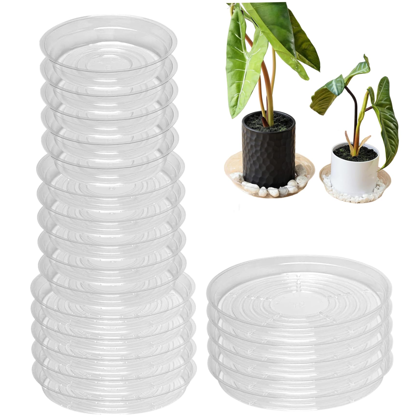 Soucoupes pour plantes évitent les fuites d'eau sur vos parquets en bois
