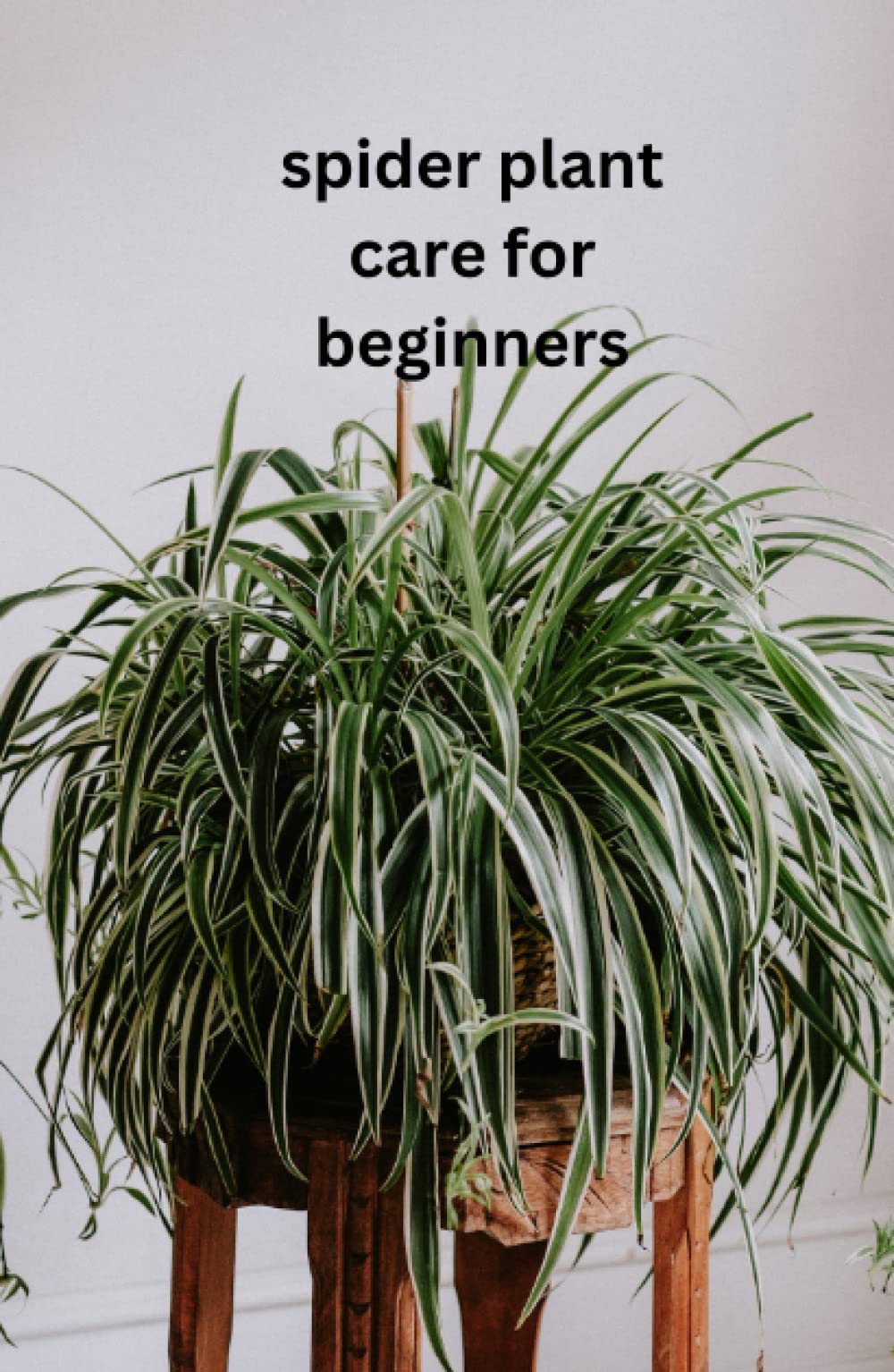 Spider Plant Care For Beginners: The only book you need for caring and growing the humble spider plant whether your new to house plants or you're an experienced house parent