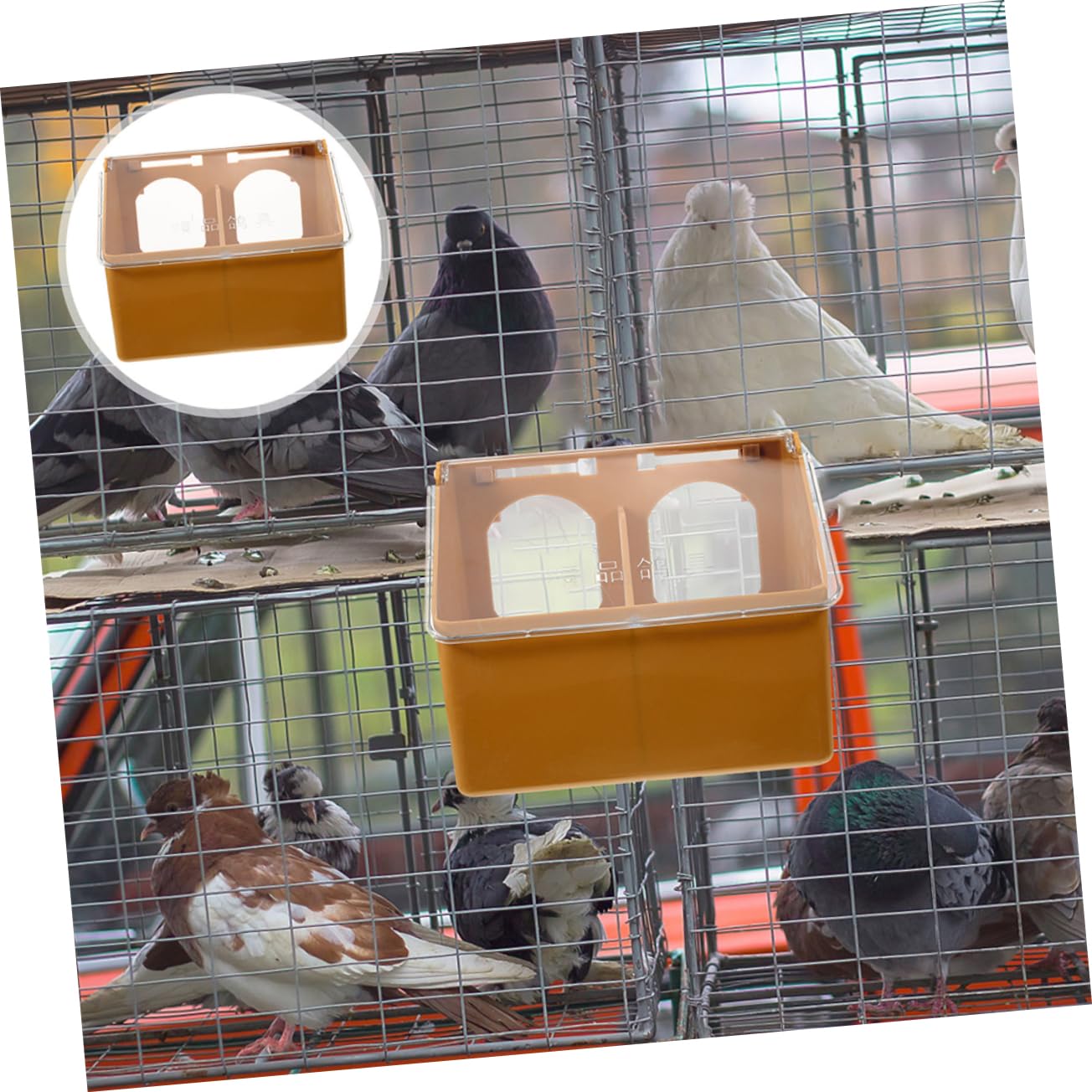 Comedero Colgante para Pájaros de Dos Orificios, 3 Piezas | Plástico Color Café, Ligero y Resistente al Desgaste, para Aves Pequeñas y Palomas