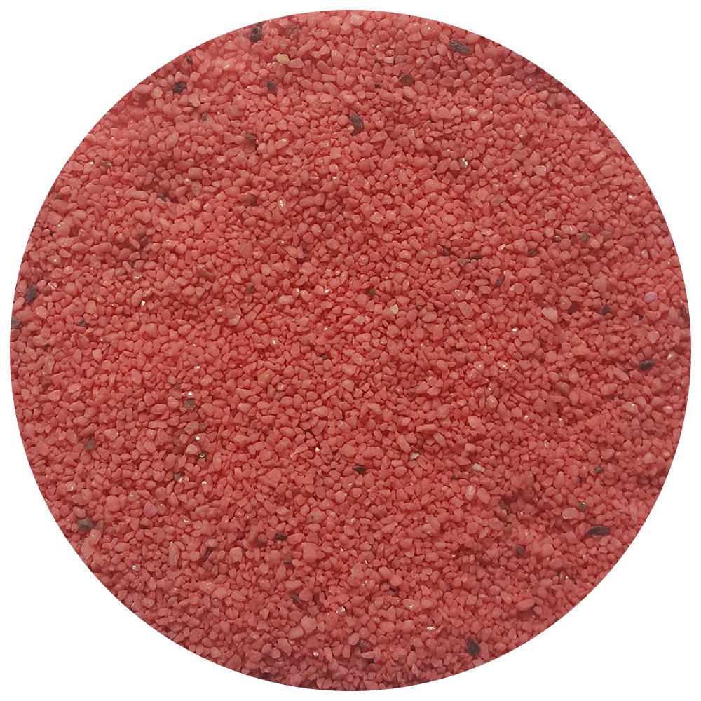 Natural Vase Fillers Decor For You