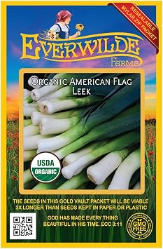 Everwilde Farms - 500 Organic American Flag Leek Seeds - Gold Vault Packet