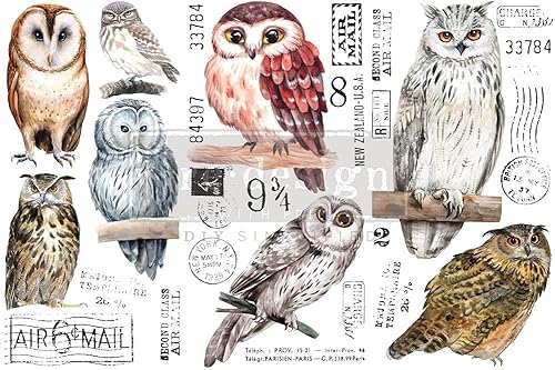 Miniatura 2 de Redesign with Prima - Búhos pequeños transferencias de 6 x 12 pulgadas, 3 hojas de transferencia para muebles, calcomanías vintage para manualidades