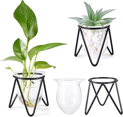 Miniatura 9 de Jspupifip 3 piezas de terrario de cristal para plantas con soporte de metal, soportes para plantas de aire, jarrones hidropónicos para plantas de