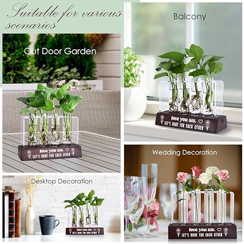 Miniatura 6 de Ideas de regalo de cumpleaños para hermanas, regalos para hermanas de la estación de propagación de plantas para hermana, hermana del alma para