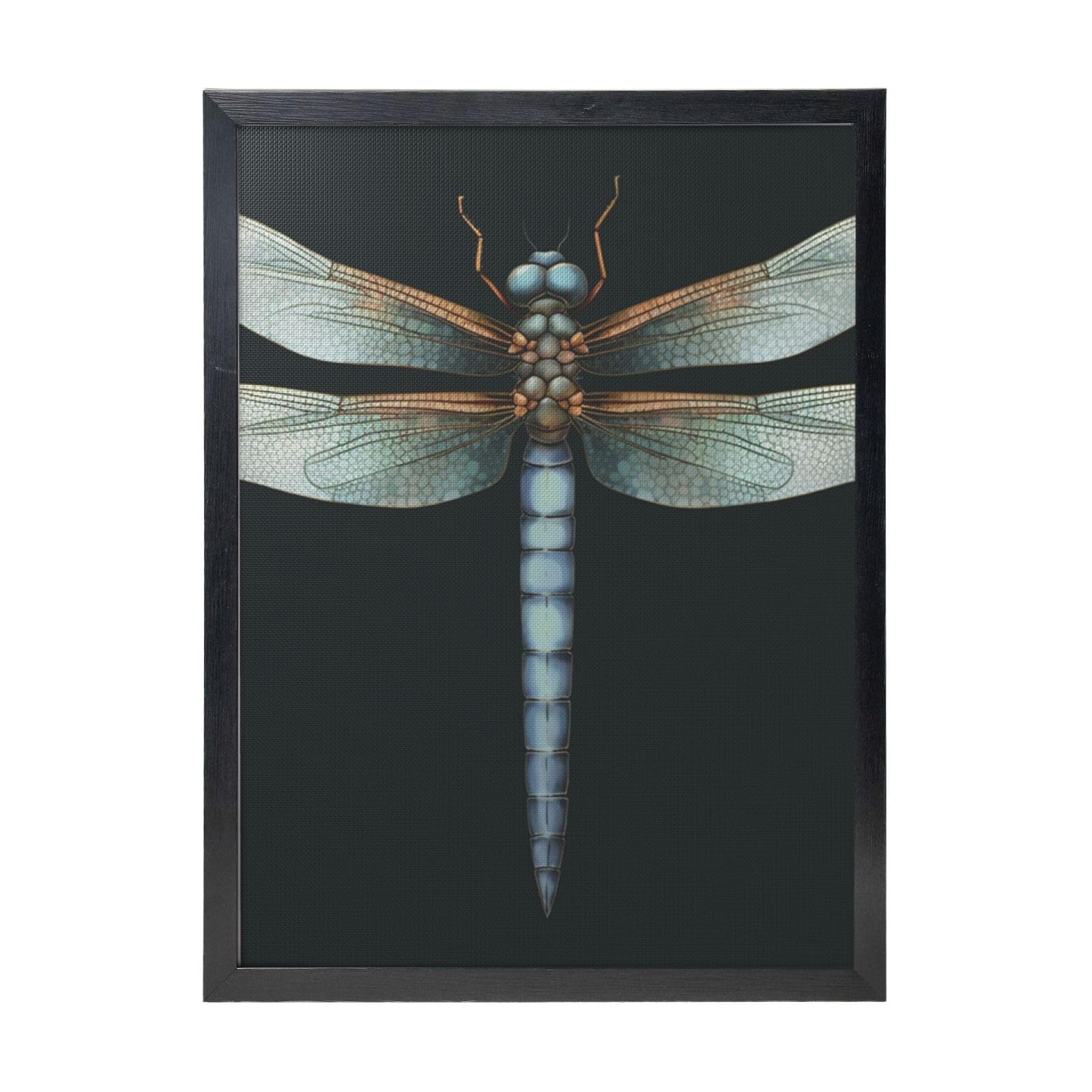 Framed Wall Art - Decorative Canvas Painting Dragonfly Pictures Poster Aesthetic Modern Prints Artwork for Bedroom Office Wall Decor Ready To Hang 12x16 in
