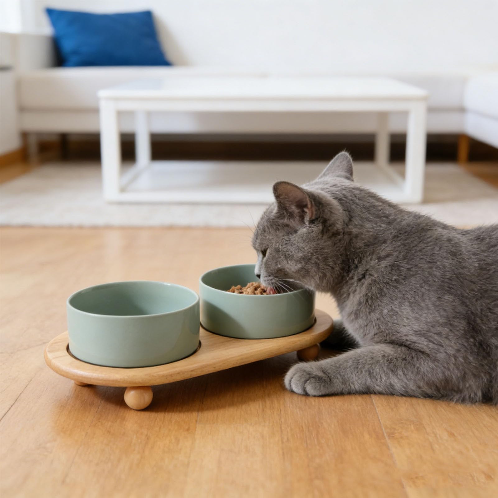 Haofy Ceramiczna Podwyższona Miska dla Kota Podwójna Miska z Drewnianym Stojakiem dla Kotów Podniesiona Konstrukcja Zapobiega Przewracaniu się Nieporowata, Co Ułatwia Czyszczenie w Małych (Podwójna
