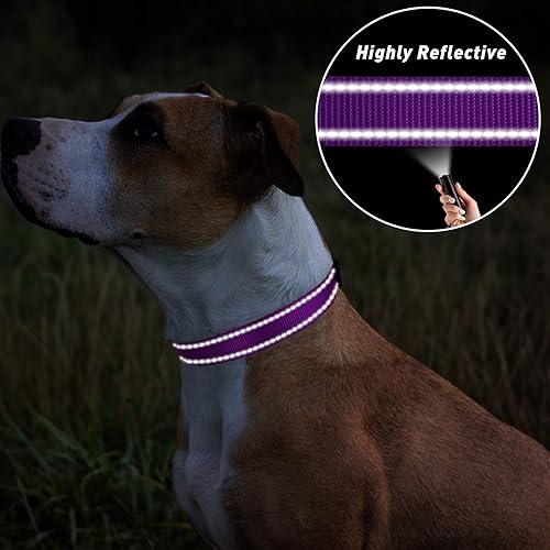 Miniatura 5 de TagME - Collar de nailon reflectante para perros con hebilla ajustable de liberación rápida para cachorros para perros de tamaño muy pequeño pequeño