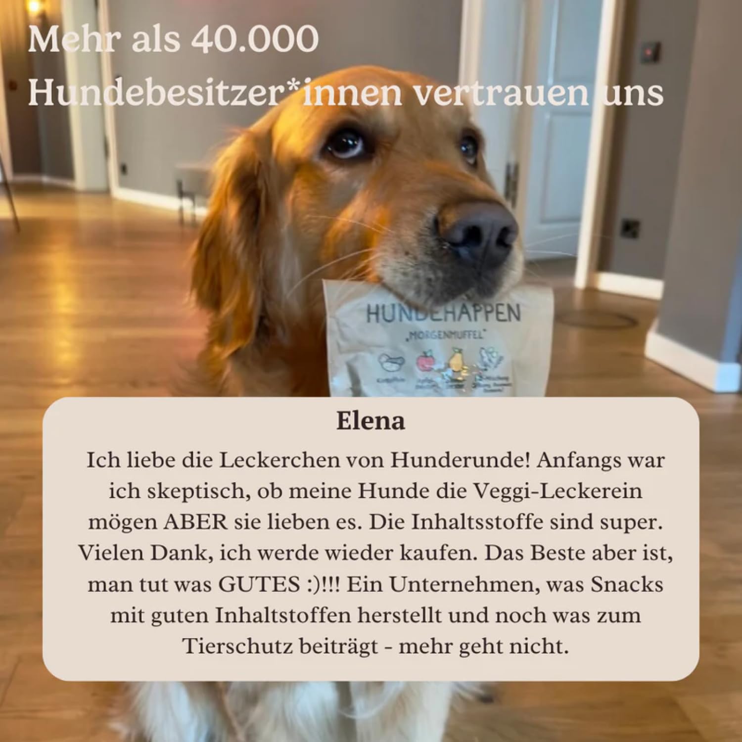 Hunderunde - Hundesnack Morgenmuffel für einen Guten Start in den Morgen - Hundeleckerlis mit Vitaminen, 39 Ballaststoffen & Kohlenhydraten - 100% hypoallergen, gut verträglich & vegan (9X 125g)