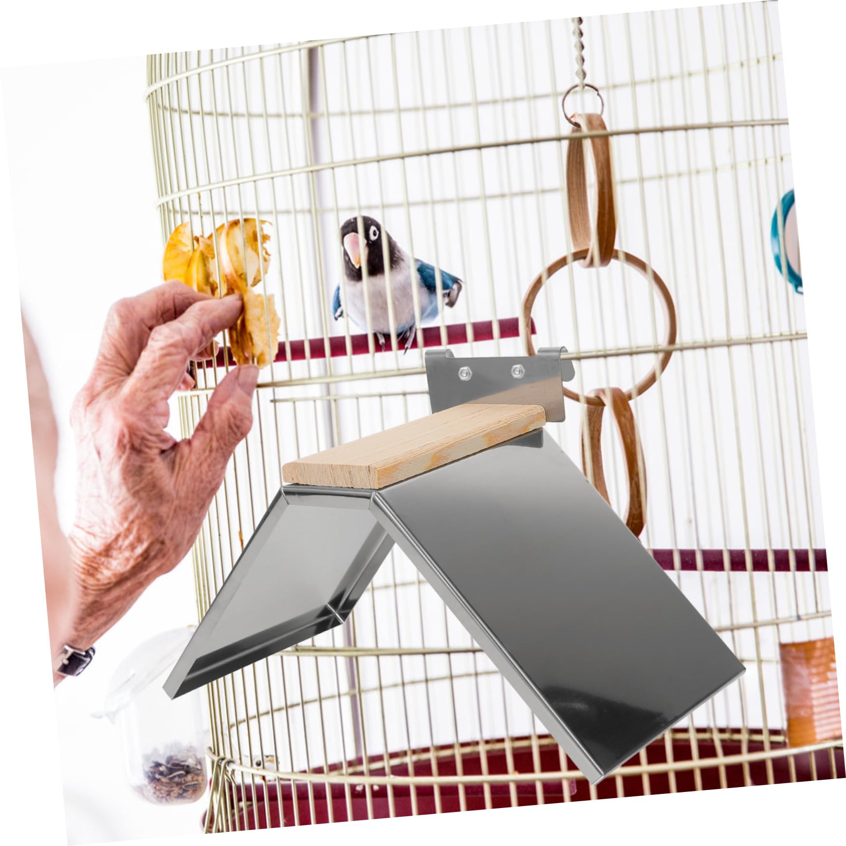BESPORTBLE 4piezas Perchero para Aves Soporte De Inoxidable y Descanso Seguro para y Aves para Juguetes De Periquitos y