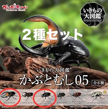 UMM ムチャグッズまとめ Amazon.co.jp: フェスキメ 3rd アクリルスタンド ムチャ UMM