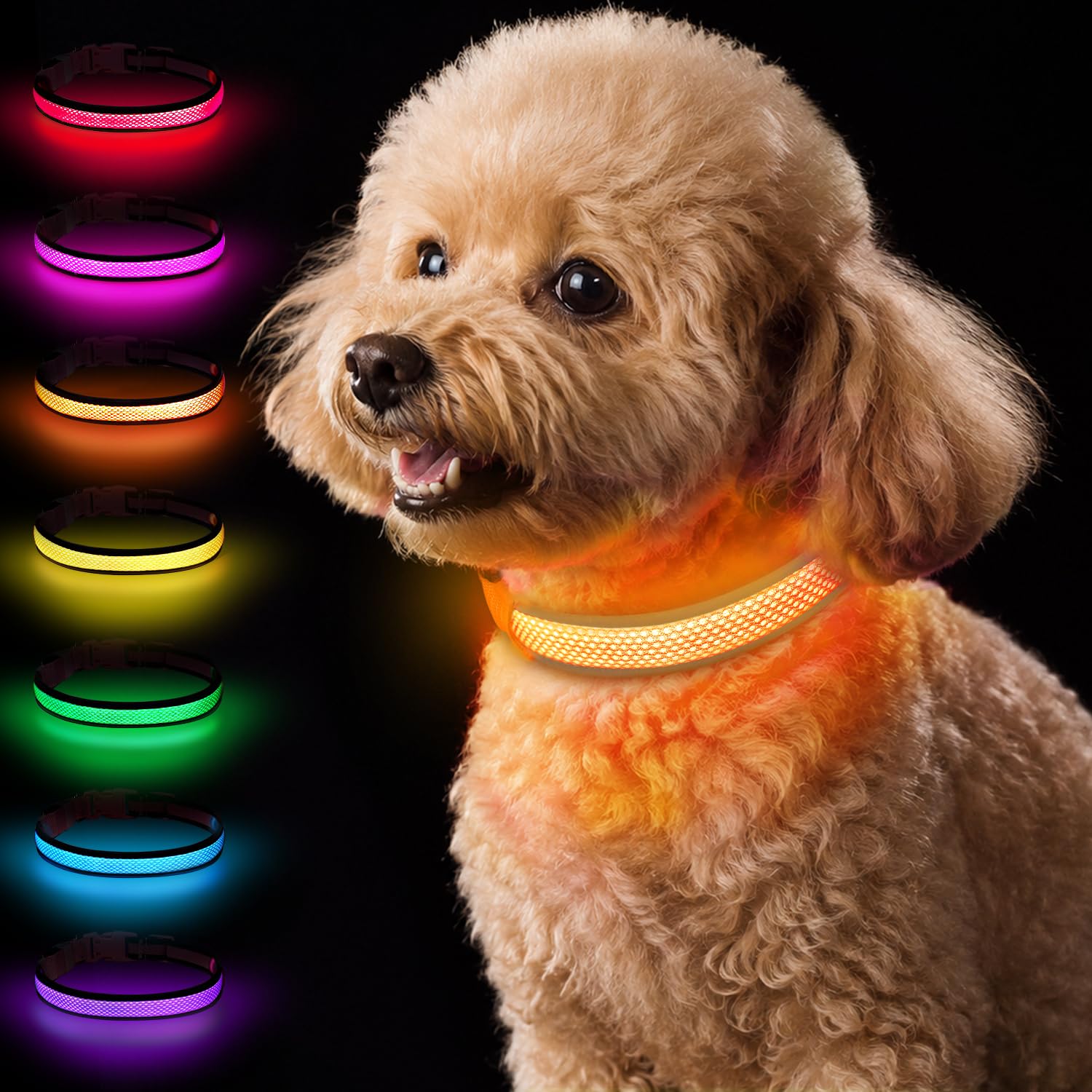 Taglory Light Up Dog Collar for Night Walking, LED Rechargeable, Orange, S