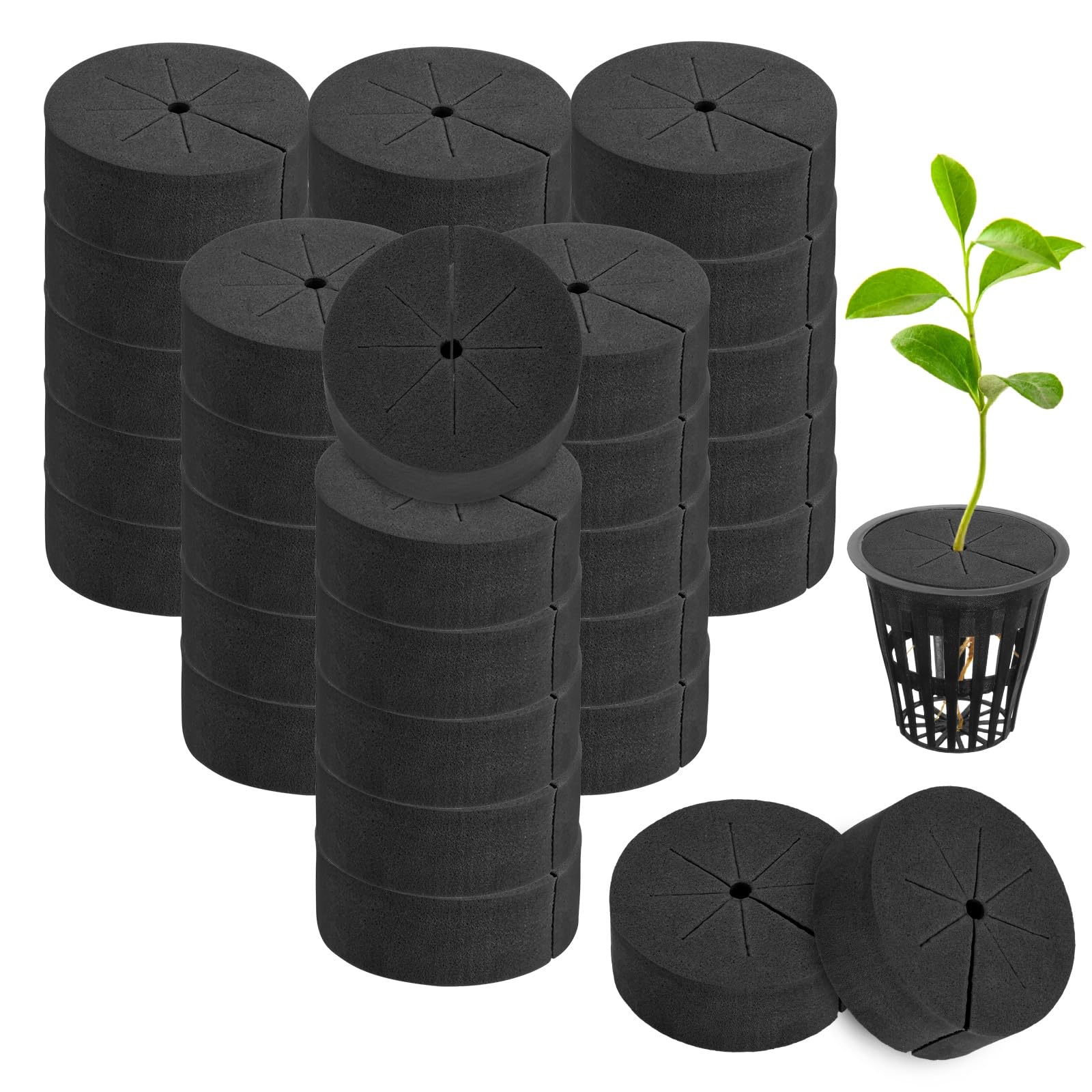 M METERXITY 30-Pack Cloning Collars Inserts, Hydroponics Sponge Systems Cloning DIY Foam Cloner Inserts Fits 2" Net Pots for Hydroponic/DIY Cloner/Clone Machines/Plant Germination [Black]