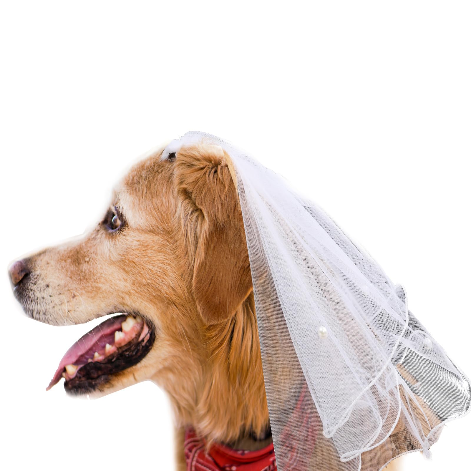 Golden Apple Dog Veil with Pearl Bow Hair Clips Bridal Pet Headdress for Valentine's Day Wedding Party Costume