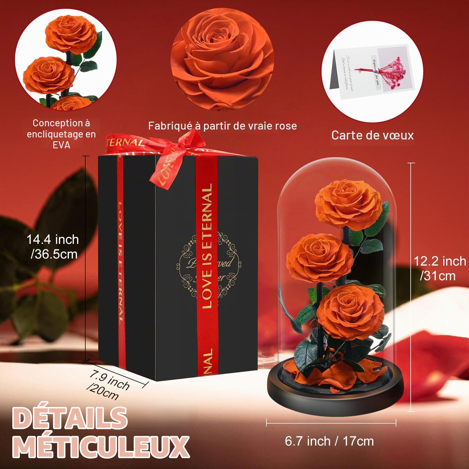 Rose Éternelle sous Cloche, Naturelle Fleur Eternelle Cadeau, Idée Boite Rose Eternel, Cadeau pour la Saint-Valentin, Fête des Mères, Noël, Anniversaire, Femme, Copine, Amie, Maman, Grand Mere