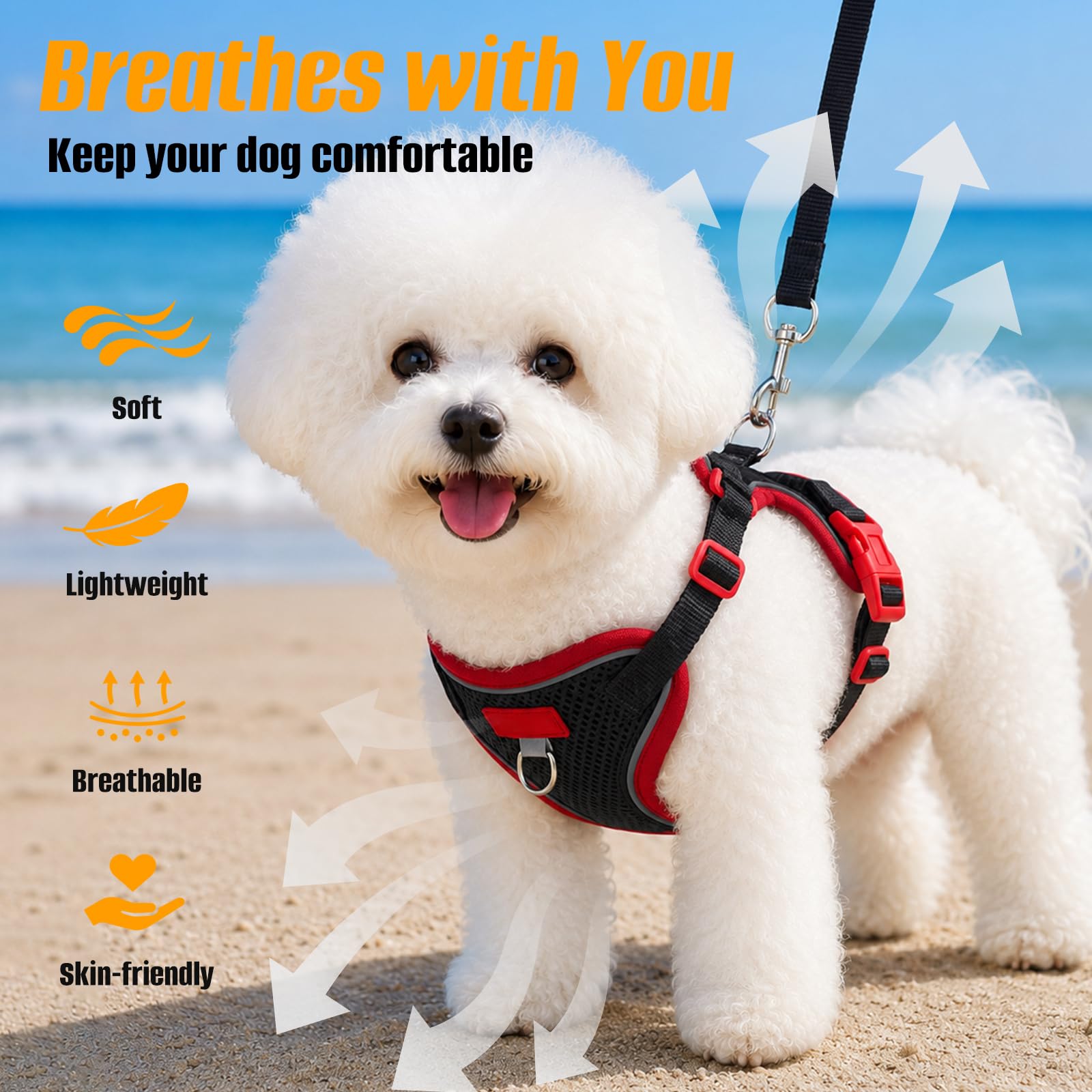 View 4