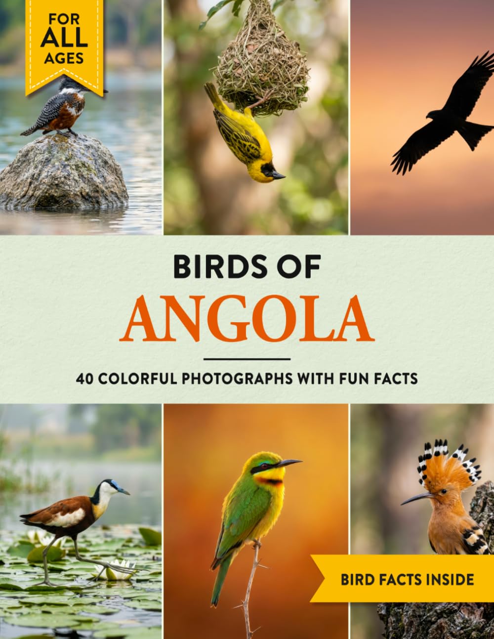 Birds of Angola: A Birdwatching Picture Book with Fun Facts and Photography for Kids, Adults & Birders