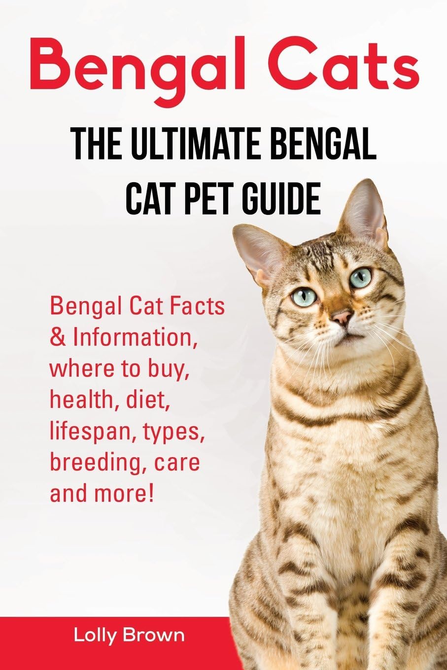 Bengal Cats: Bengal Cat Facts & Information, where to buy, heal