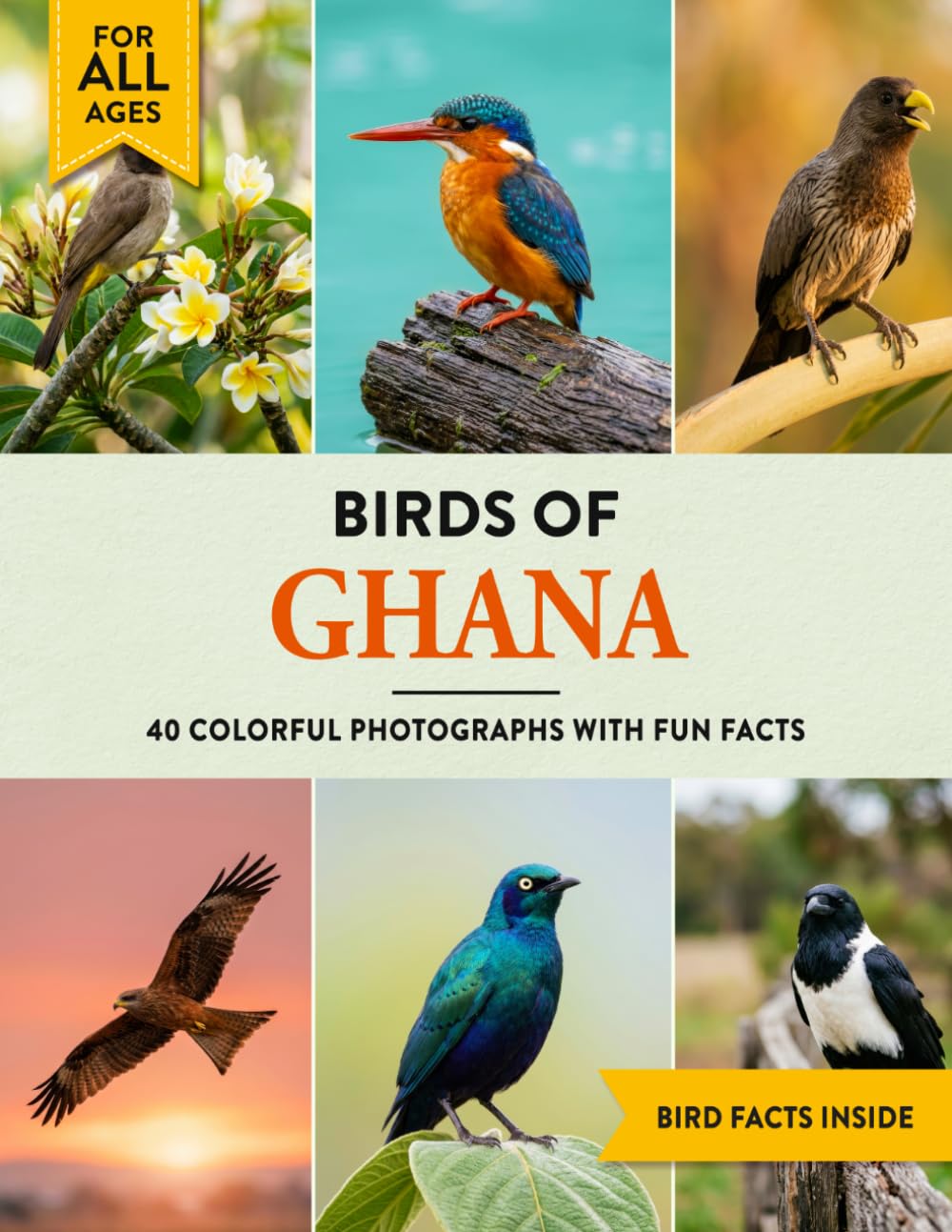 Birds of Ghana: A Birdwatching Picture Book with Fun Facts and Photography for Kids, Adults & Birders