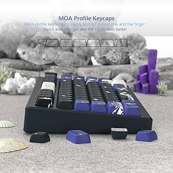 Amazon.com: Womier PBT Keyboard Keycaps, MOA Cute Keycaps